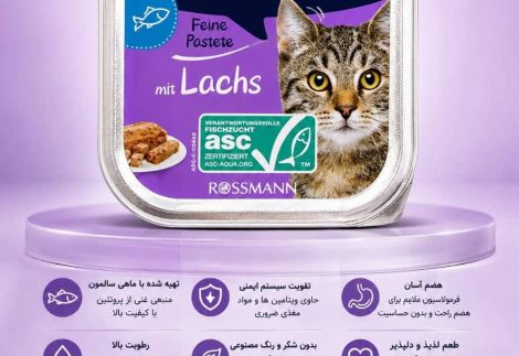 ووم گربه ۱۰۰گرمی وینستون با طعم سالمون