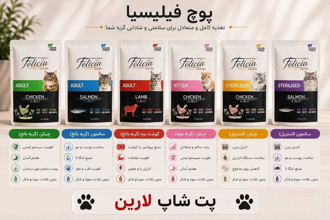 پوچ گربه ۸۵گرمی فلیسیا در چند طعم